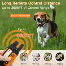 Electric Dog Training Collar - 3300ft Remote Range Waterproof for 5-120lbs Dogs