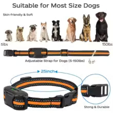 Electric Dog Training Collar - 3300ft Remote Range Waterproof for 5-120lbs Dogs