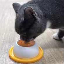 Yogurt Licking bowl