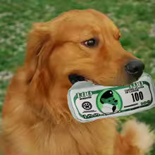 Simulation Money Dog Toy - Squeaky Crinkle Paper Chew Toy