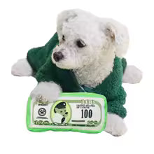 Simulation Money Dog Toy - Squeaky Crinkle Paper Chew Toy