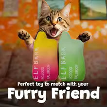 Elfbark Plush Dog Toy with Squeaker - Durable Bite-Resistant Chew Toy